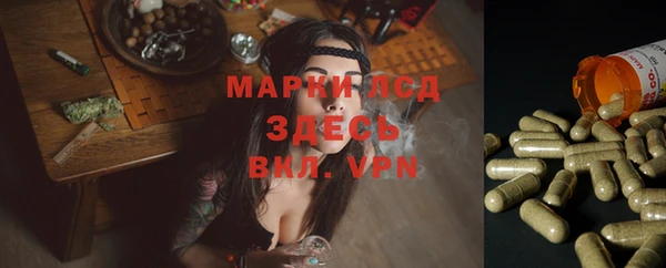 первитин Дмитриев