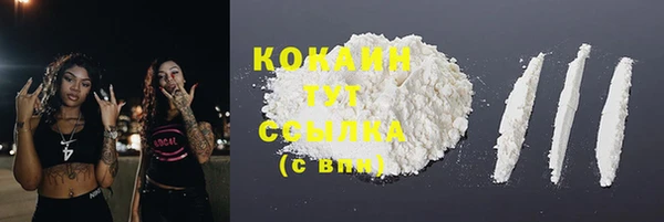 прущий лед Дмитровск