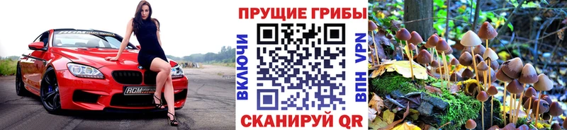 Галлюциногенные грибы прущие грибы  Купить где  Лысьва 